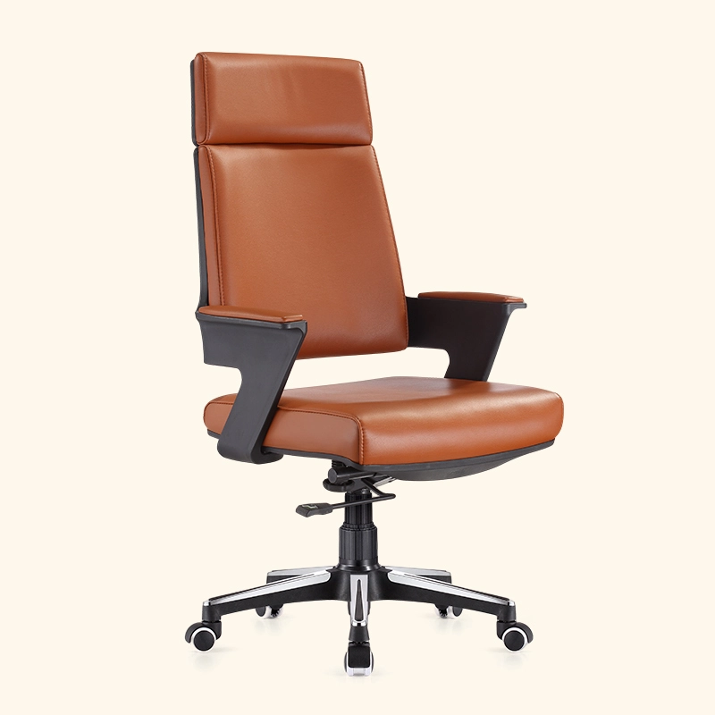 Série 836 de bonne chaise de directeur de colocalisation de mode multicolore 1